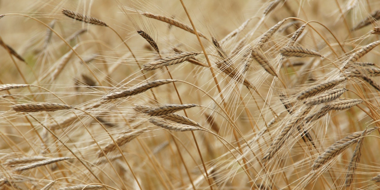 St Paul's and Missions